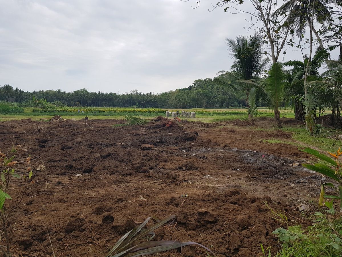 10 menit Bandara NYIA; Kawasan Asri; SHM 10 menit Bandara NYIA; Kawasan Asri; SHM di Kabupaten Kulon Progo — foto 1 dari 6