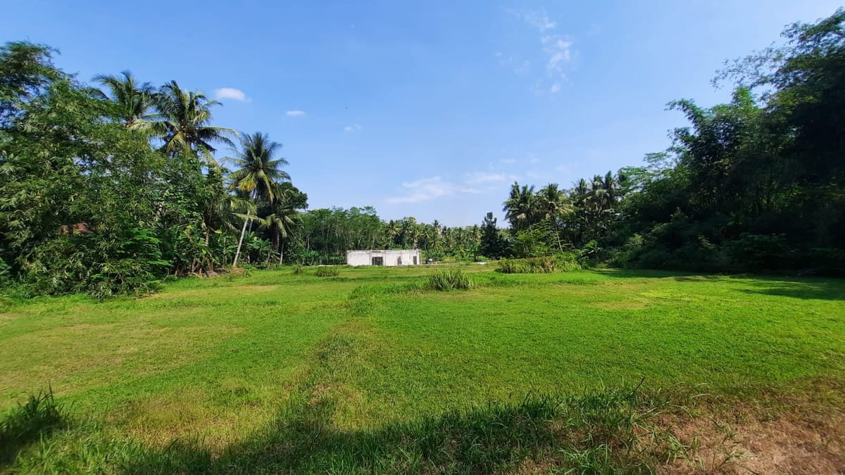 2KM RSUD Nyi Ageng Serang Nanggulan, Dijual Tanah Kulonprogo 2KM RSUD Nyi Ageng Serang Nanggulan, Dijual Tanah Kulonprogo di Kabupaten Kulon Progo β foto 1 dari 6