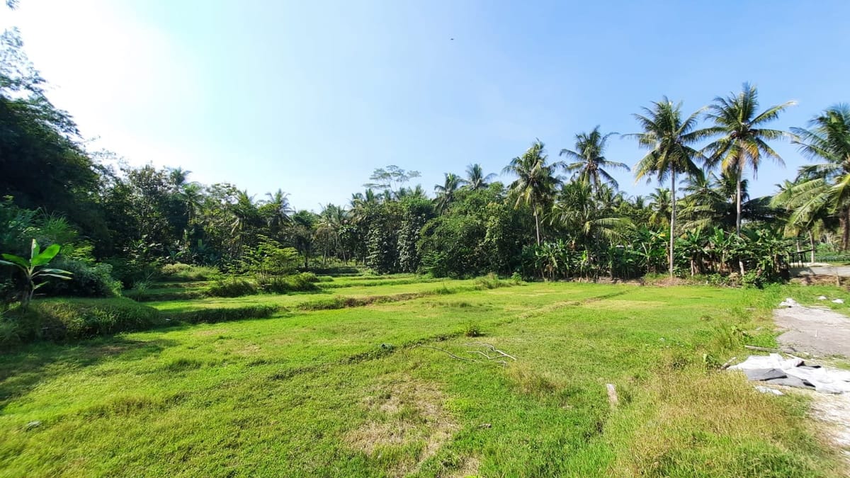 3KM Exit Tol Nanggulan, Tanah Dijual Jogja: SHM Pekarangan 3KM Exit Tol Nanggulan, Tanah Dijual Jogja: SHM Pekarangan di Kabupaten Kulon Progo β foto 1 dari 5