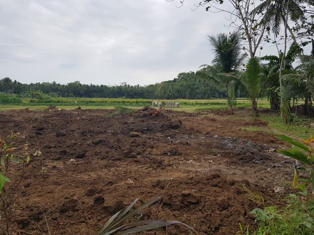 10 menit Bandara NYIA; Kawasan Asri; SHM di Kabupaten Kulon Progo — Rp 1 jt/m²
