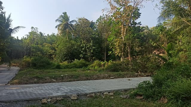 10 Menit Bandara YIA Kavling Harga Terjangkau 10 Menit Bandara YIA Kavling Harga Terjangkau di Kabupaten Kulon Progo β foto 4 dari 10