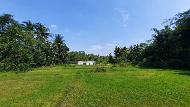 2KM RSUD Nyi Ageng Serang Nanggulan, Dijual Tanah Kulonprogo 2KM RSUD Nyi Ageng Serang Nanggulan, Dijual Tanah Kulonprogo di Kabupaten Kulon Progo β foto 4 dari 6