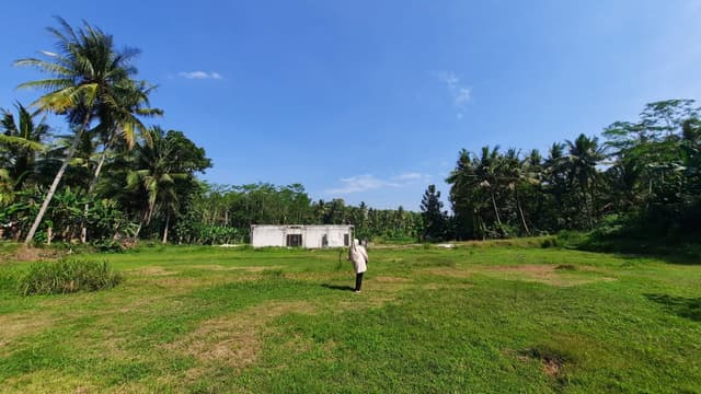 3KM Exit Tol Nanggulan, Tanah Dijual Jogja: SHM Pekarangan 3KM Exit Tol Nanggulan, Tanah Dijual Jogja: SHM Pekarangan di Kabupaten Kulon Progo β foto 4 dari 5