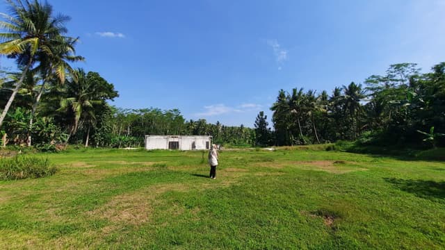 3KM Exit Tol Nanggulan, Tanah Dijual Jogja: SHM Pekarangan 3KM Exit Tol Nanggulan, Tanah Dijual Jogja: SHM Pekarangan di Kabupaten Kulon Progo β foto 5 dari 5