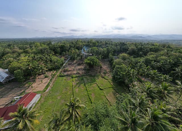 3KM Exit Tol Sentolo, Dijual Tanah Nanggulan Jogja 3KM Exit Tol Sentolo, Dijual Tanah Nanggulan Jogja di Kabupaten Kulon Progo β foto 4 dari 6
