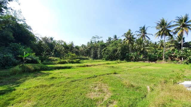 3KM Terminal Nanggulan, Dijual Tanah Jogja 3KM Terminal Nanggulan, Dijual Tanah Jogja di Kabupaten Kulon Progo β foto 2 dari 6