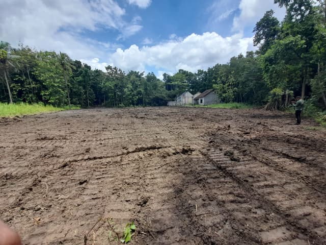Belakang Padma Residence Tanah Kasihan Bantul Siap Bangun di Kabupaten Bantul — foto 4 dari 6