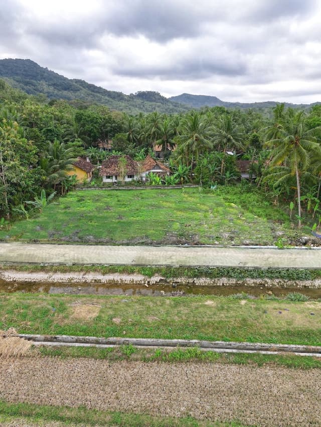 Bojong Kulon Progo, Rumah Jogja SHM Pekarangan Dekat Bandara YIA di Kabupaten Kulon Progo — foto 4 dari 6