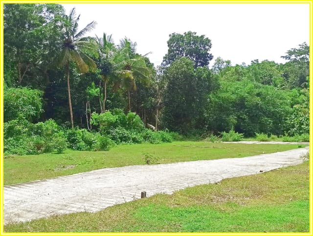 Dekat Alun Alun Wates, Rumah dijual Jogja Barat Lengkap SHM-IMB di Kabupaten Kulon Progo — foto 4 dari 5