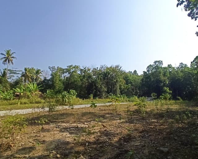 Dekat Bandara YIA Jogja, Jual Tanah Murah Jogja, Gotakan Panjatan di Kabupaten Kulon Progo — foto 2 dari 5