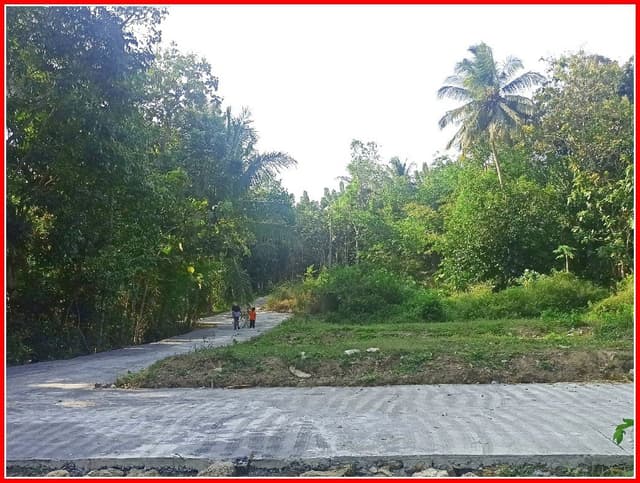 Dekat Bandara YIA Jogja, Rumah Murah Jogja dijual di Kabupaten Kulon Progo — foto 4 dari 5