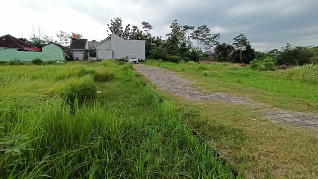 Dekat Hotel Hyatt Tanah Dijual Sleman Dekat Hotel Hyatt Tanah Dijual Sleman di Kabupaten Sleman — foto 3 dari 5