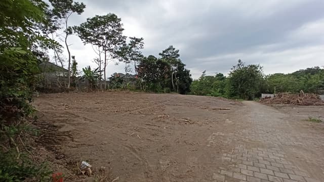 Dekat Hotel Hyatt Tanah Dijual Sleman Dekat Hotel Hyatt Tanah Dijual Sleman di Kabupaten Sleman — foto 4 dari 5