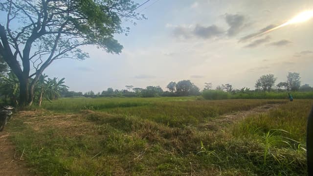 Dekat Pasar Rejondani Palagan Kavling Premium Strategis Dekat Pasar Rejondani Palagan Kavling Premium Strategis di Kabupaten Sleman β foto 3 dari 10