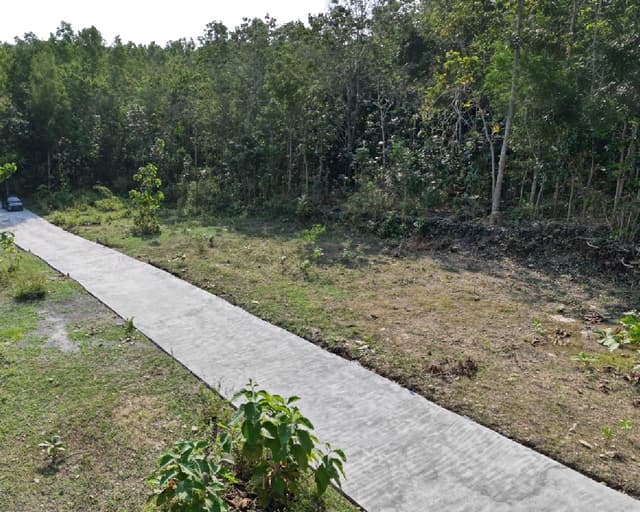 Dekat Polres Kulon Progo Tanah Murah di Kabupaten Kulon Progo — Rp 1,2 jt/m²