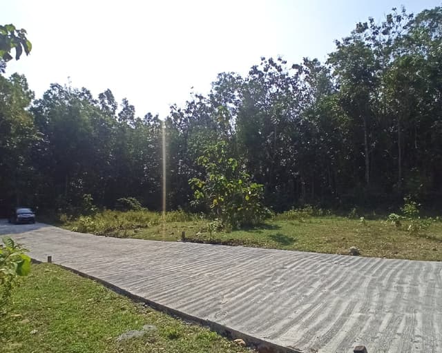 Dekat Polres Kulon Progo Tanah Murah di Kabupaten Kulon Progo — foto 5 dari 6
