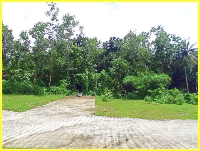 Dekat POLRES Kulonprogo, Dijual Rumah Jogja : Bali Style di Kabupaten Kulon Progo — foto 5 dari 5