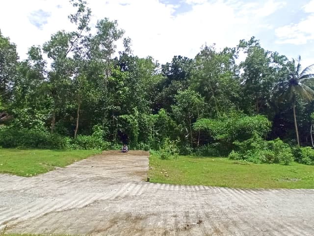 Di Jual Tanah Jogja Kulonprogo Giripeni View Dekat SMK N 1 Panjatan SHM Pekarangan di Kabupaten Kulon Progo — foto 4 dari 5