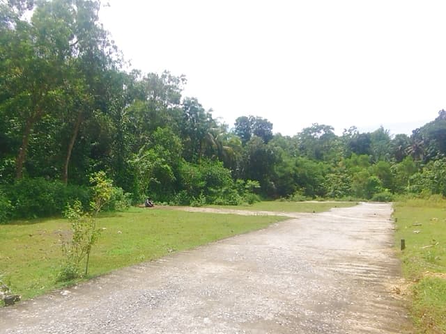 Di Jual Tanah Jogja Kulonprogo Giripeni View Dekat SMK N 1 Panjatan SHM Pekarangan di Kabupaten Kulon Progo — Rp 1 jt/m²