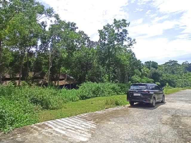 Di Jual Tanah Jogja Kulonprogo Giripeni View Dekat SMK N 1 Panjatan SHM Pekarangan Di Jual Tanah Jogja Kulonprogo Giripeni View Dekat SMK N 1 Panjatan SHM Pekarangan di Kabupaten Kulon Progo — foto 2 dari 5