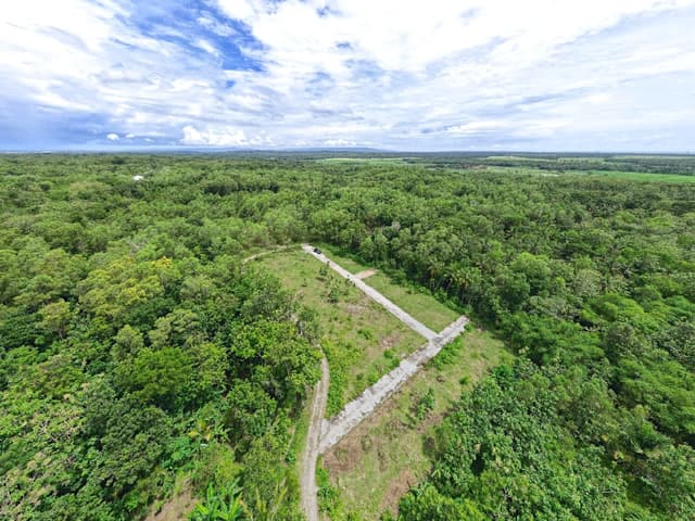 Di Jual Tanah Jogja Kulonprogo Giripeni View Dekat SMK N 1 Panjatan SHM Pekarangan Di Jual Tanah Jogja Kulonprogo Giripeni View Dekat SMK N 1 Panjatan SHM Pekarangan di Kabupaten Kulon Progo — foto 3 dari 5