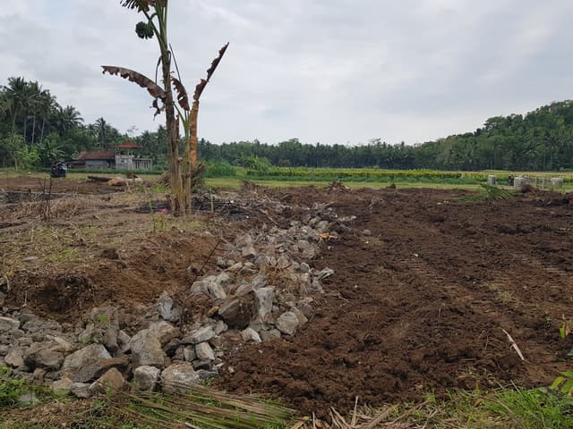 Kulon Progo; Tanah Murah Siap Bangun; Sisa 3 Unit Kulon Progo; Tanah Murah Siap Bangun; Sisa 3 Unit di Kabupaten Kulon Progo β foto 3 dari 4