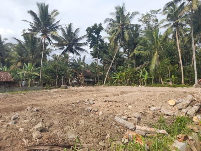Kulon Progo; Tanah Murah Siap Bangun; Sisa 3 Unit di Kabupaten Kulon Progo — Rp 348 jt