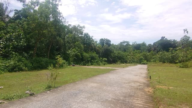 Rumah Dijual 1 Lantai Panjatan Kulon Progo Jogja dekat Bandara YIA & SMP 1 Panjatan di Kabupaten Kulon Progo — foto 4 dari 5