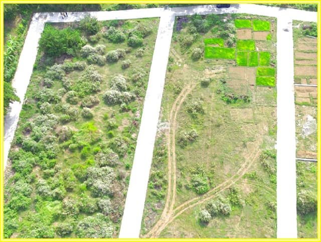 Rumah Murah Purworejo 10 menit Bandara YIA Jogja di Kabupaten Kulon Progo — foto 4 dari 5