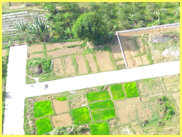 Rumah Murah Purworejo 10 menit Bandara YIA Jogja di Kabupaten Kulon Progo — foto 5 dari 5