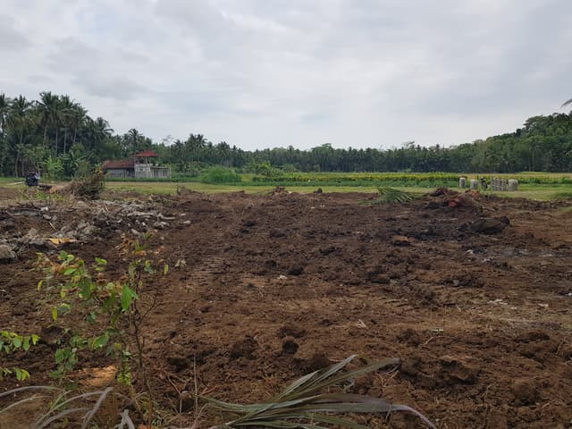 Sisa 3 Unit; Tanah Murah Area Bandara NYIA; SHM Sisa 3 Unit; Tanah Murah Area Bandara NYIA; SHM di Kabupaten Kulon Progo — foto 4 dari 4
