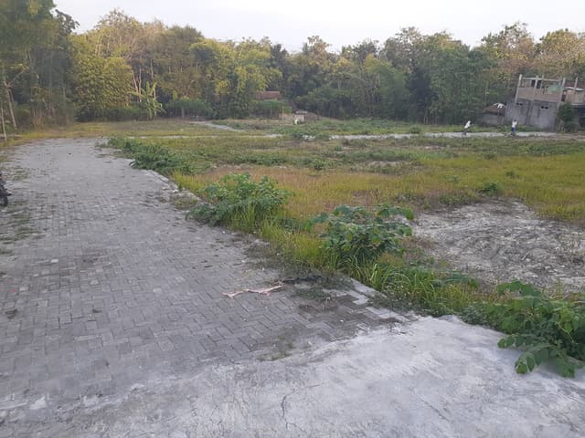 Tanah Cluster Moyudan Sleman, dekat Pasar Ngijon : Untuk Rumah Tanah Cluster Moyudan Sleman, dekat Pasar Ngijon : Untuk Rumah di Kabupaten Sleman — foto 3 dari 4