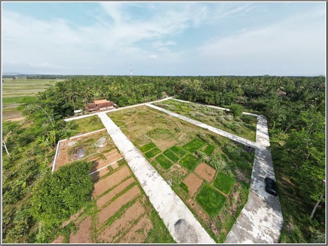 Tanah Dekat Bandara YIA Kulonprogo, 500 meter ke Jl. Daendels. SHM Pekarangan Siap AJB Tanah Dekat Bandara YIA Kulonprogo, 500 meter ke Jl. Daendels. SHM Pekarangan Siap AJB di Jawa Tengah — foto 4 dari 14