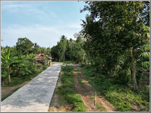 Tanah Dekat Bandara YIA Kulonprogo, 500 meter ke Jl. Daendels. SHM Pekarangan Siap AJB Tanah Dekat Bandara YIA Kulonprogo, 500 meter ke Jl. Daendels. SHM Pekarangan Siap AJB di Jawa Tengah — foto 2 dari 14