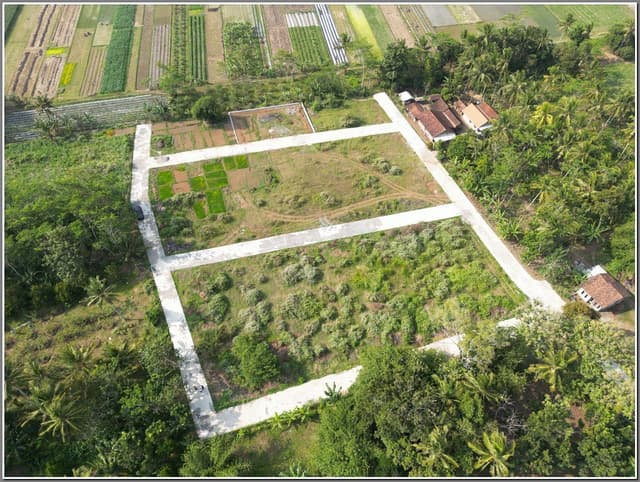 Tanah Dekat Bandara YIA Kulonprogo, 500 meter ke Jl. Daendels. SHM Pekarangan Siap AJB Tanah Dekat Bandara YIA Kulonprogo, 500 meter ke Jl. Daendels. SHM Pekarangan Siap AJB di Jawa Tengah — foto 5 dari 14