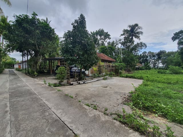 Tanah Dijual Jogja Area Jalan Nagung Brosot Kulon Progo, Ready SHM Tanah Dijual Jogja Area Jalan Nagung Brosot Kulon Progo, Ready SHM di Kabupaten Kulon Progo β foto 3 dari 4