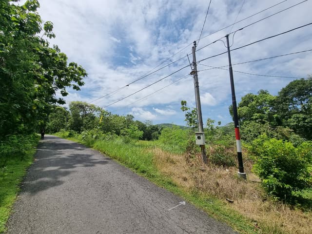 Tanah Murah Selatan UMY, SHM Pekarangan 1,2 Jt/m² Tanah Murah Selatan UMY, SHM Pekarangan 1,2 Jt/m² di Kabupaten Sleman — foto 3 dari 5