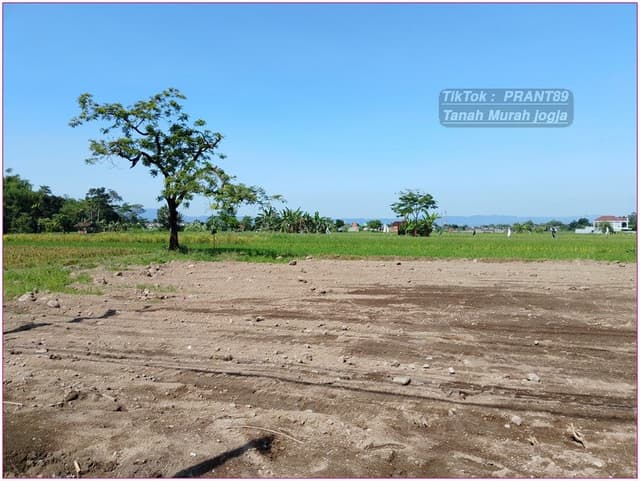 Tanah murah SLeman dekat Sekolah Budi Mulia tajem, 3 jtan di Kabupaten Sleman — foto 3 dari 4