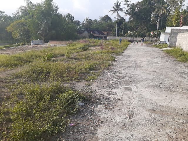Tanah Siap AJB di Mlati Sleman Tanah Siap AJB di Mlati Sleman di Kabupaten Sleman — foto 4 dari 4