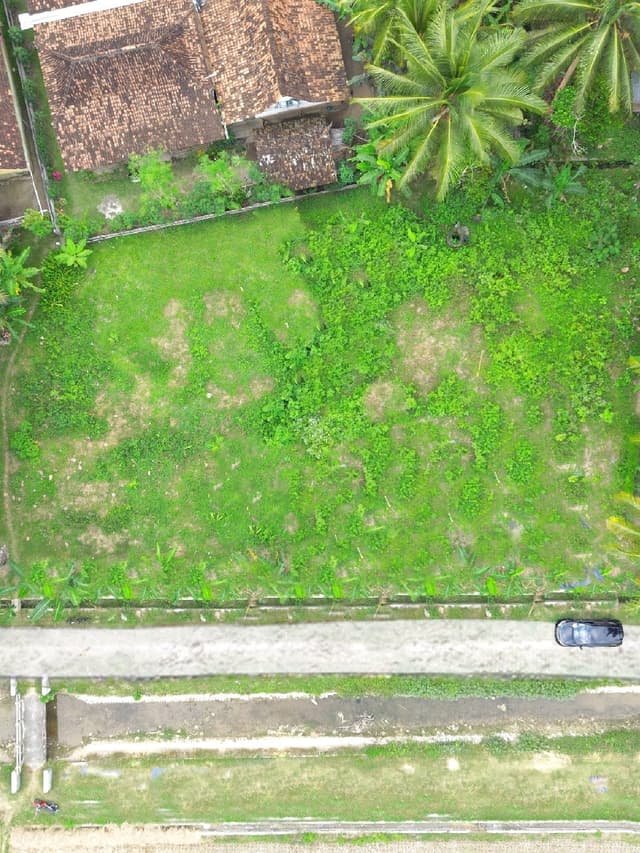 Temon Kulon Progo, Rumah Murah Jogja Bali Style Dekat Bandara YIA di Kabupaten Kulon Progo — foto 4 dari 8