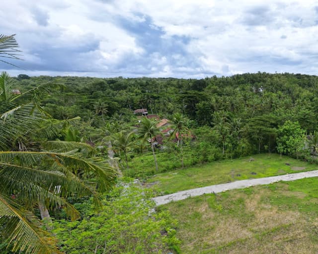 Wates Kulon Progo Jual Tanah Jogja Untuk Rumah Dekat Pemda Wates di Kabupaten Kulon Progo — foto 3 dari 5